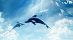 لگو آکوا من